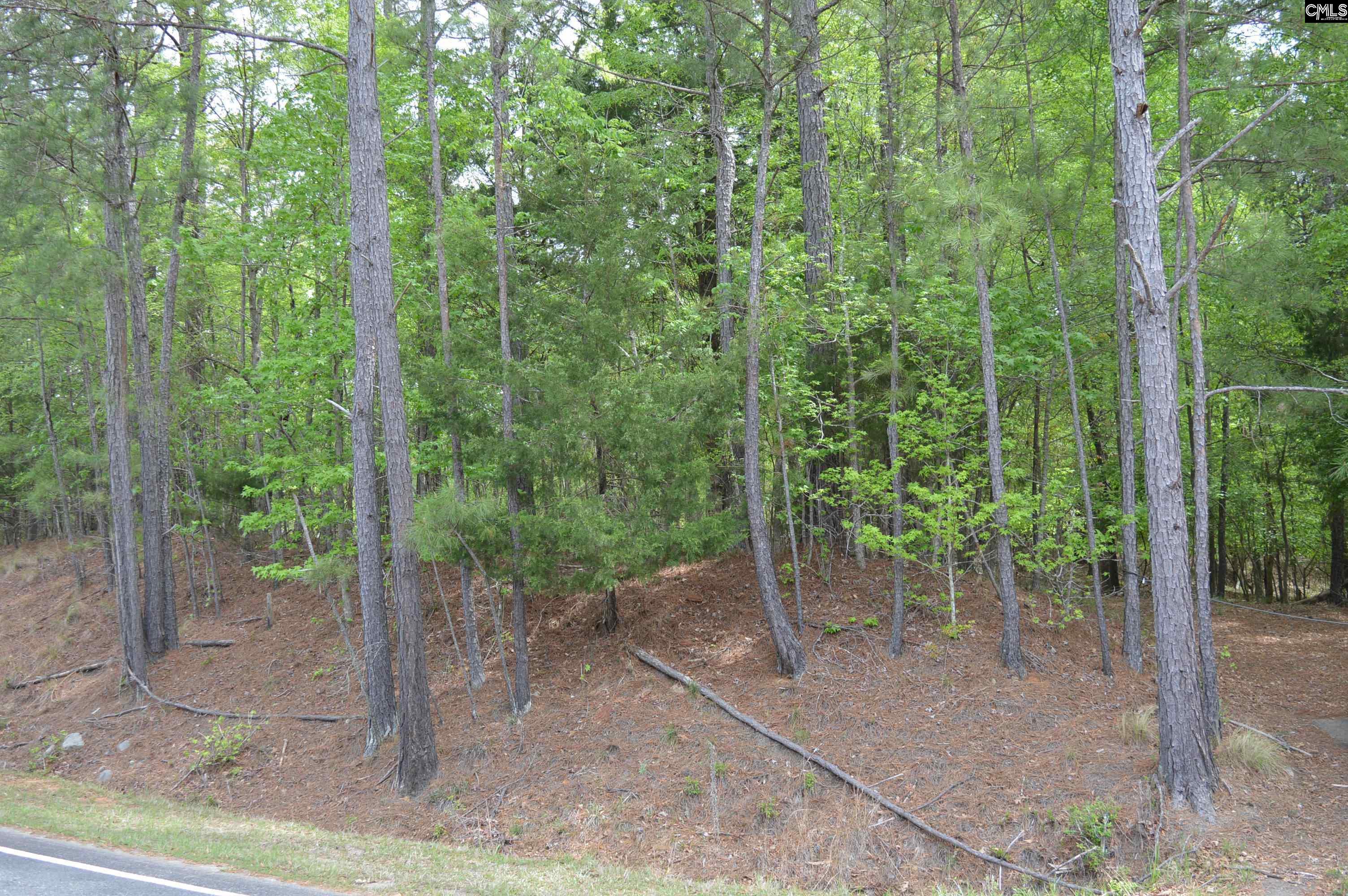 978 Rolling Hills Road Ridgeway, SC 29130