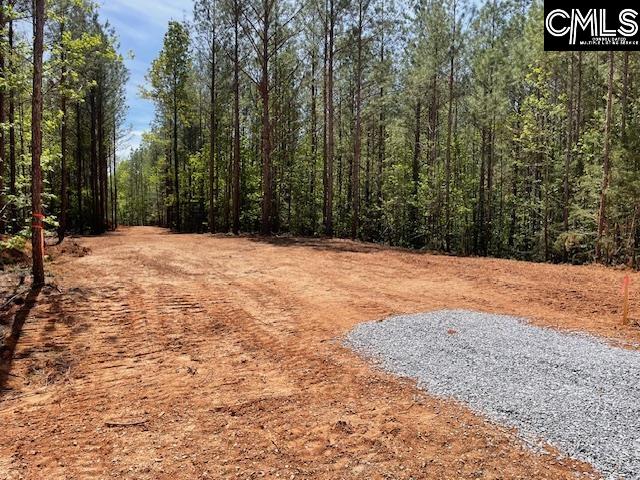 Lot 1 Highway 121 Silverstreet, SC 29145
