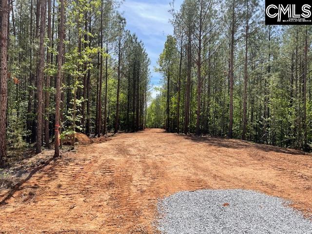 Lot 1 Highway 121 Silverstreet, SC 29145