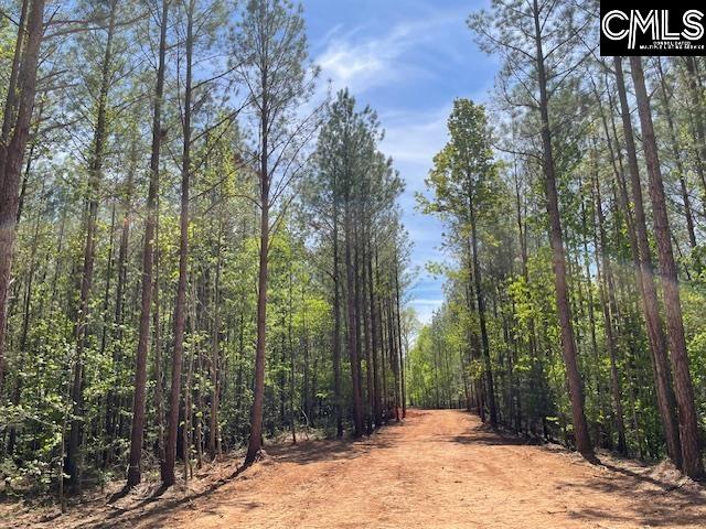 Lot 1 Highway 121 Silverstreet, SC 29145