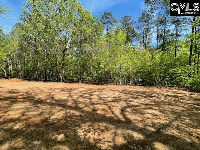 Lot 1 Highway 121 Silverstreet, SC 29145
