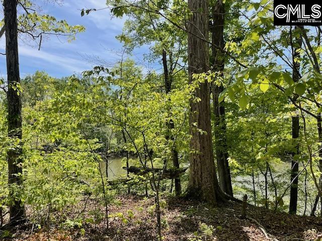 Lot 1 Highway 121 Silverstreet, SC 29145