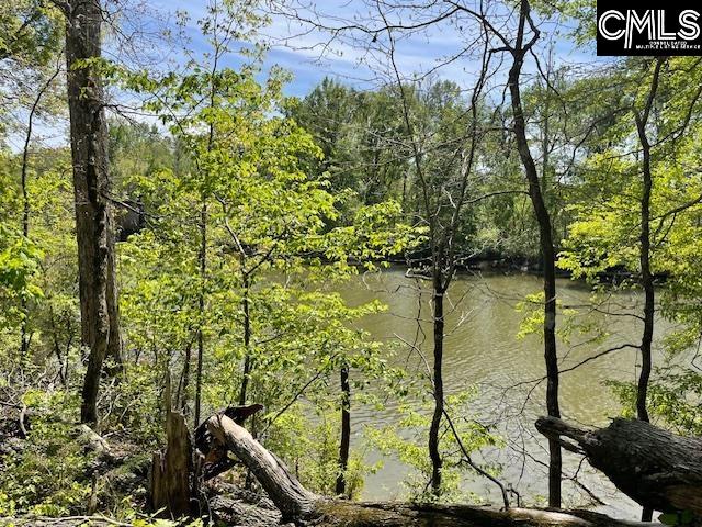 Lot 1 Highway 121 Silverstreet, SC 29145