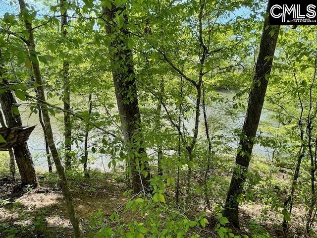 Lot 1 Highway 121 Silverstreet, SC 29145