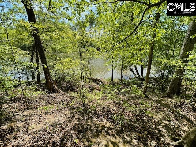 Lot 1 Highway 121 Silverstreet, SC 29145