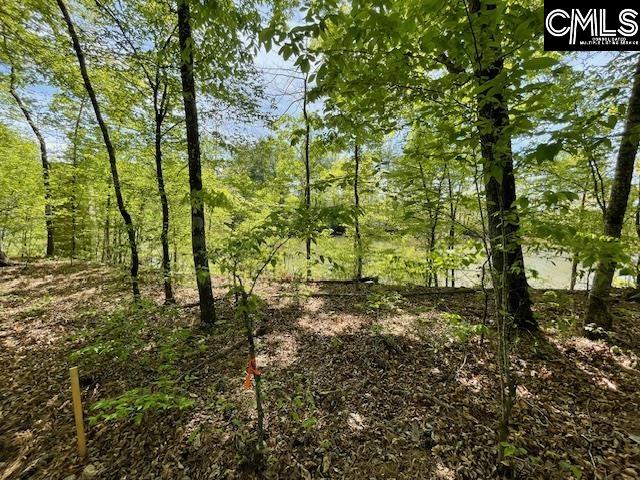 Lot 1 Highway 121 Silverstreet, SC 29145