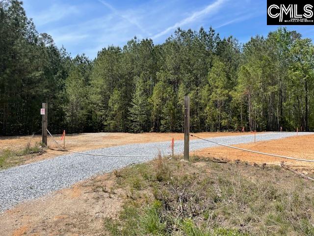 Lot 1 Highway 121 Silverstreet, SC 29145