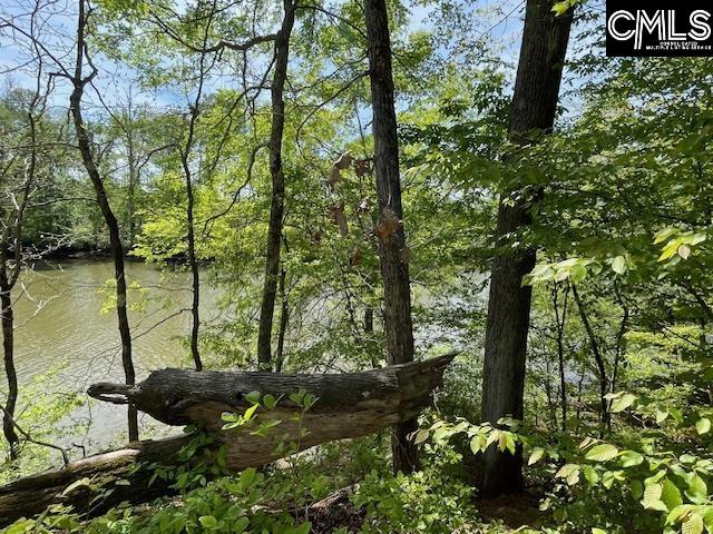 Lot 1 Highway 121 Silverstreet, SC 29145