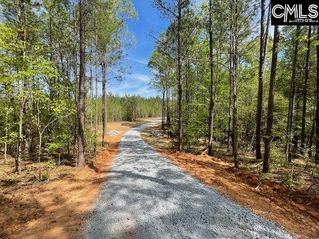 Lot 1 Highway 121 Silverstreet, SC 29145