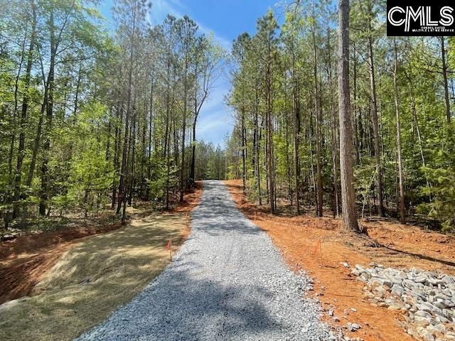 Lot 1 Highway 121 Silverstreet, SC 29145