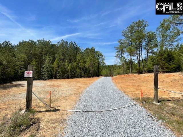 Lot 1 Highway 121 Silverstreet, SC 29145