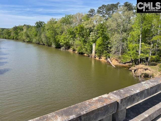 Lot 1 Highway 121 Silverstreet, SC 29145