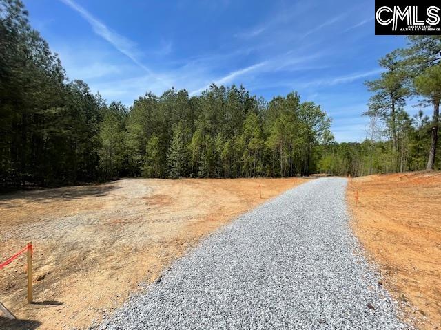 Lot 1 Highway 121 Silverstreet, SC 29145