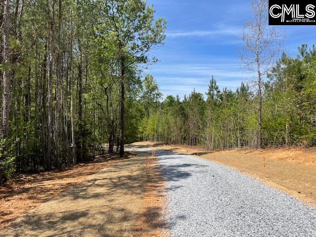 Lot 1 Highway 121 Silverstreet, SC 29145