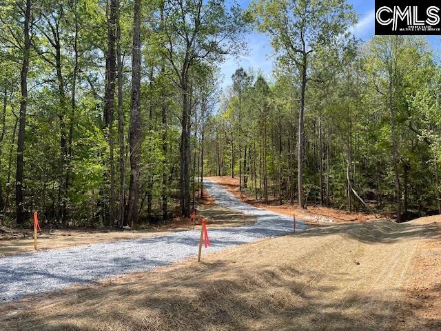 Lot 1 Highway 121 Silverstreet, SC 29145