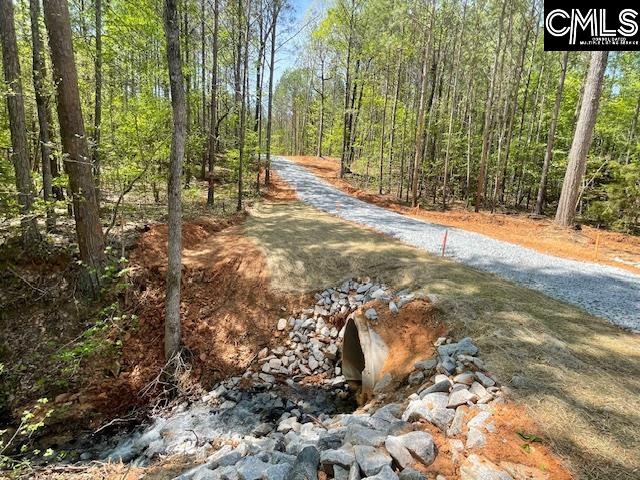 Lot 1 Highway 121 Silverstreet, SC 29145
