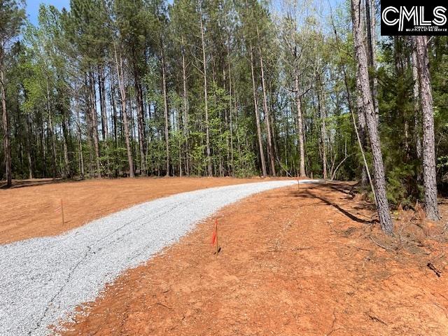 Lot 1 Highway 121 Silverstreet, SC 29145