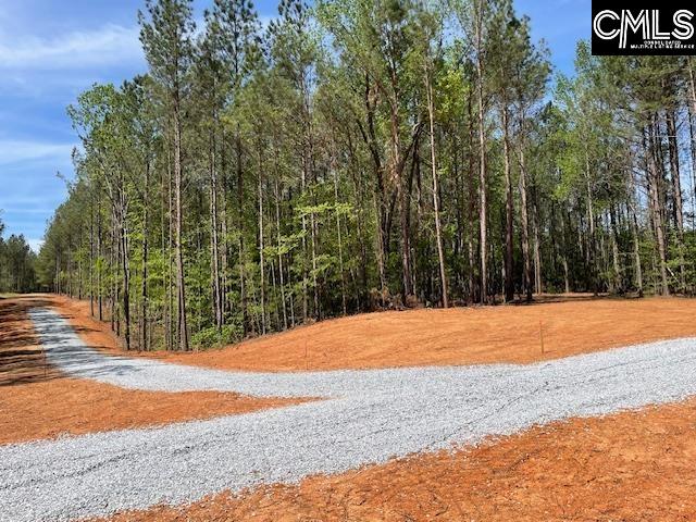 Lot 1 Highway 121 Silverstreet, SC 29145