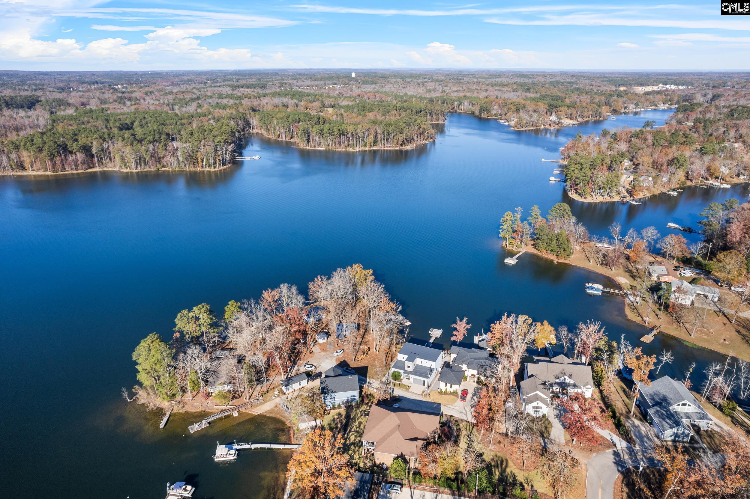 1108 Floyd Slice Court Chapin, SC 29036