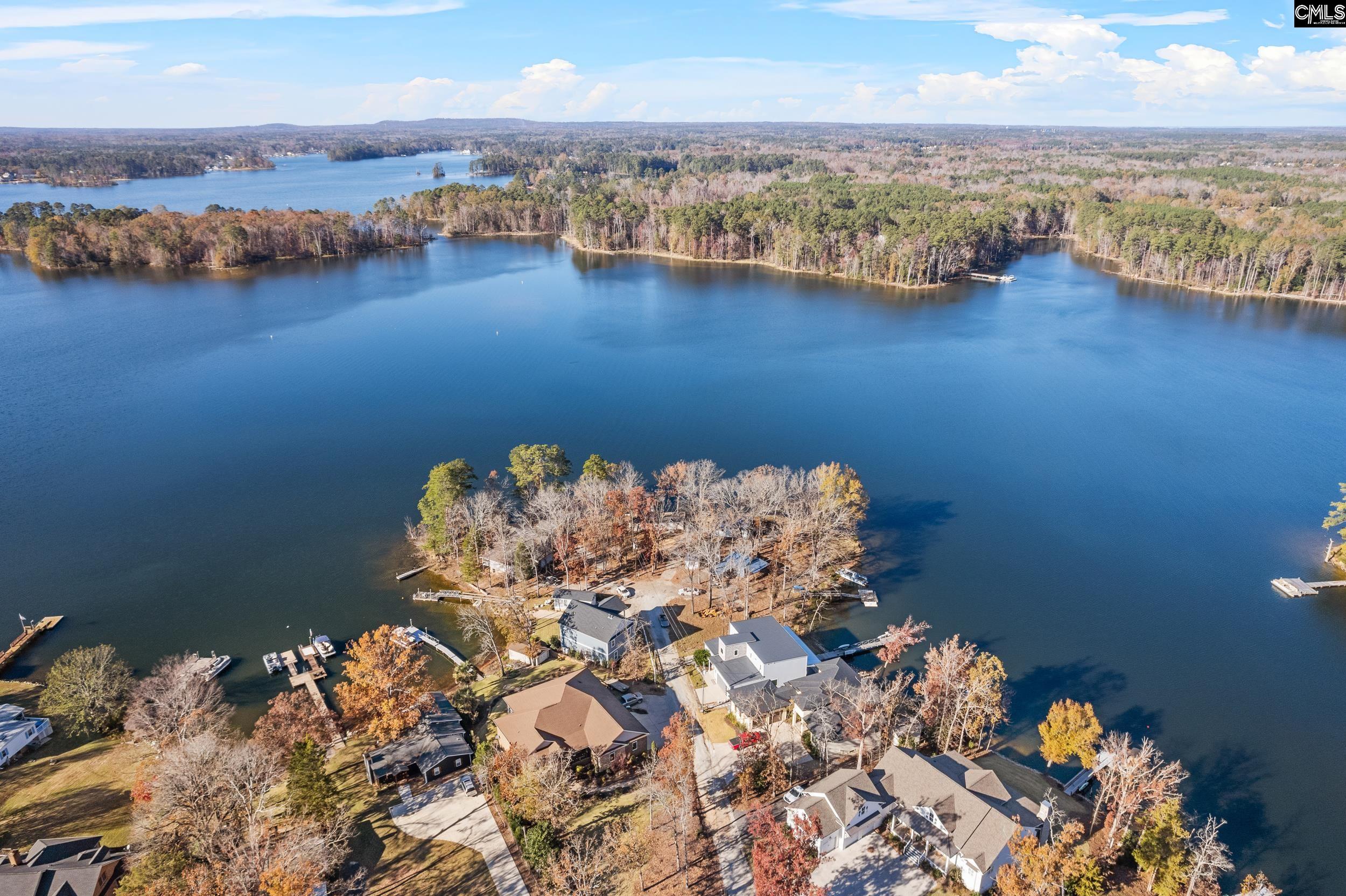 1108 Floyd Slice Court Chapin, SC 29036