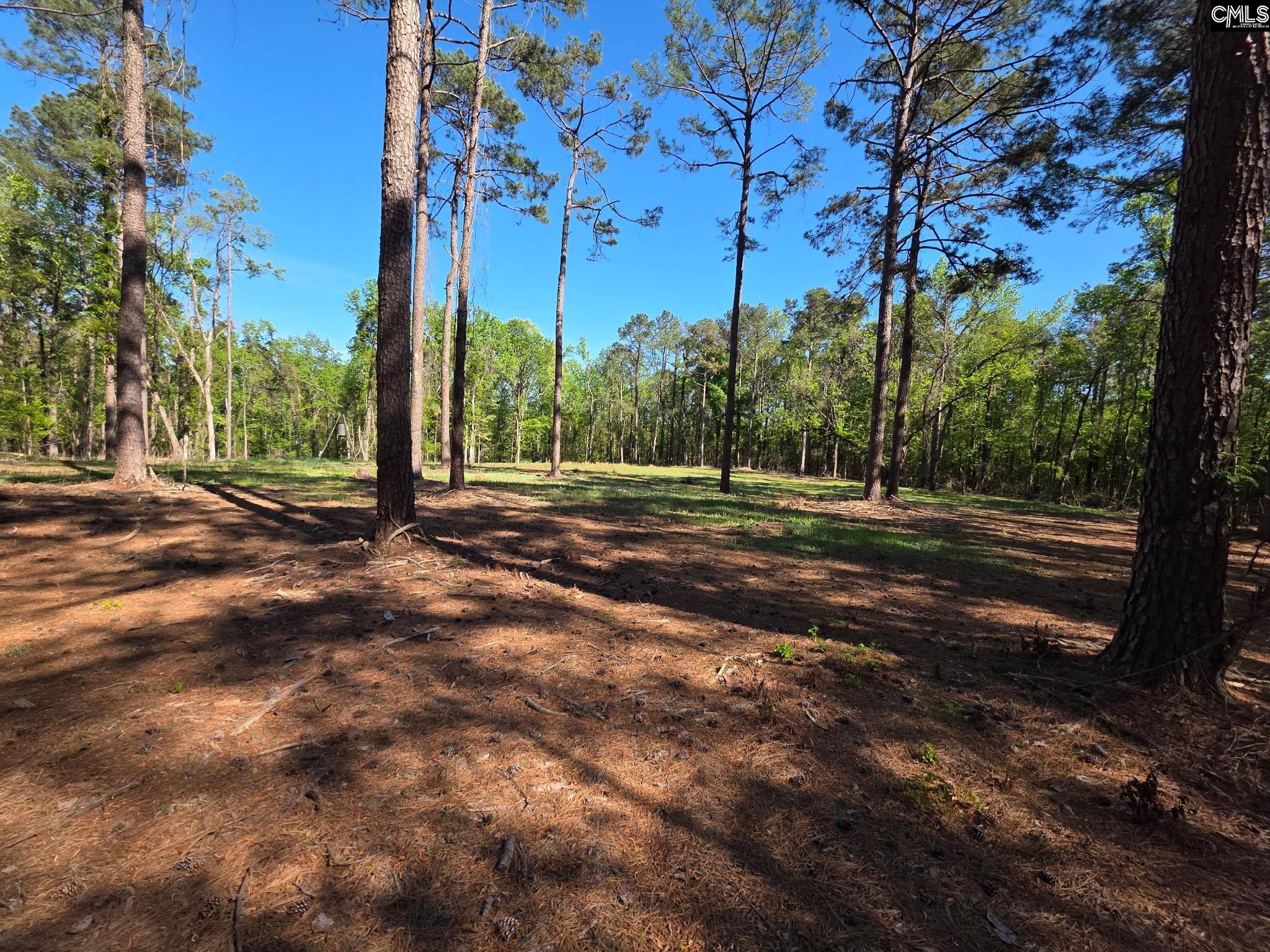 Mud Creek Road Newberry, SC 29108