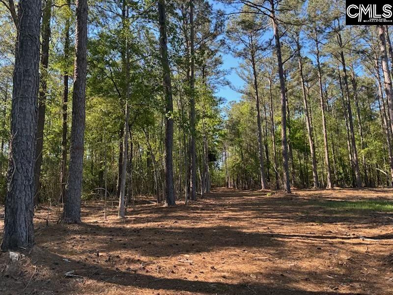 Mud Creek Road Newberry, SC 29108