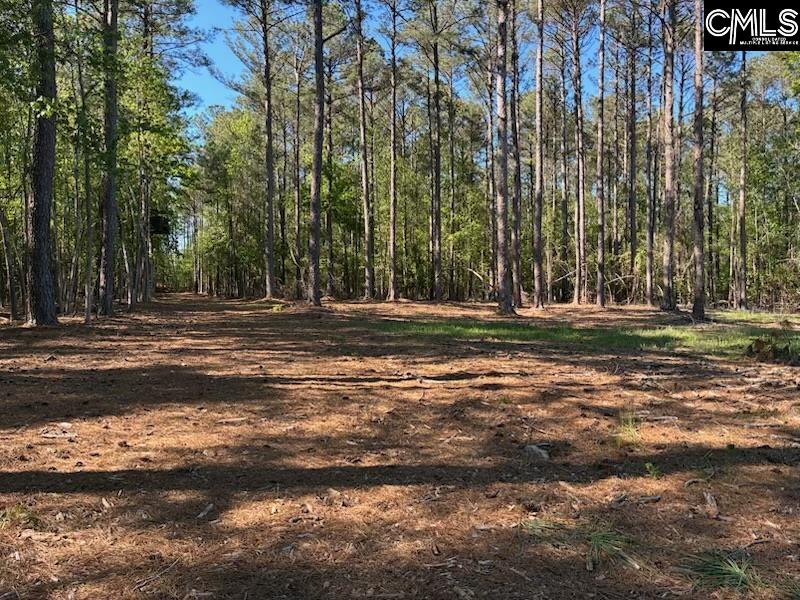 Mud Creek Road Newberry, SC 29108