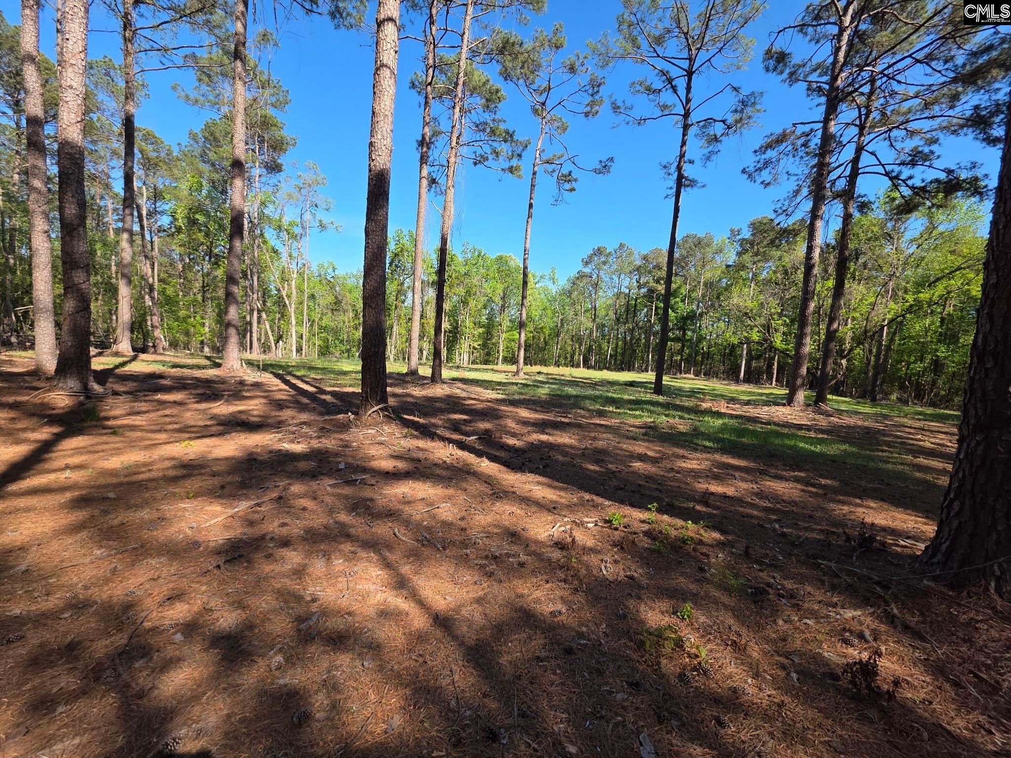 Mud Creek Road Newberry, SC 29108