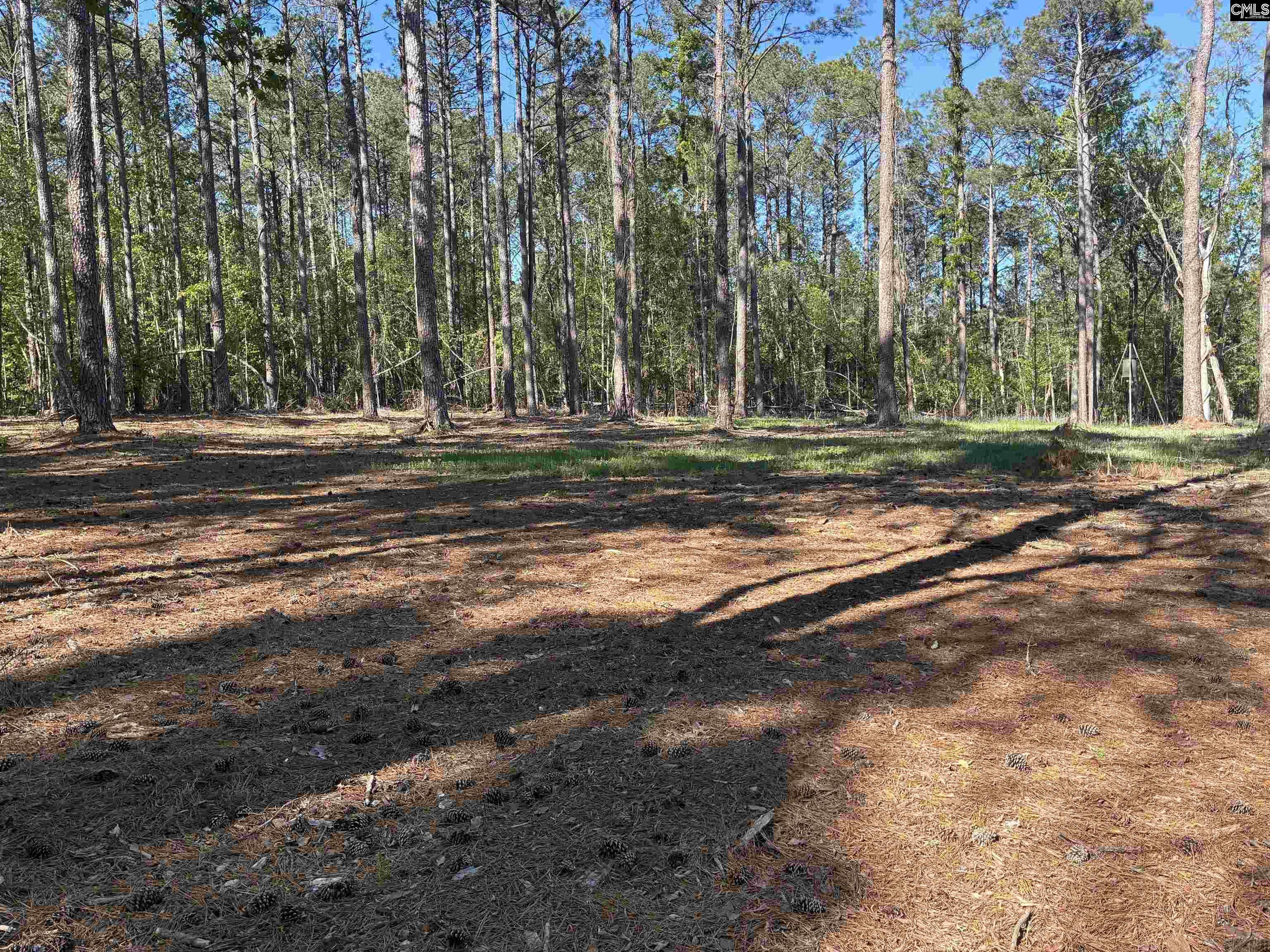 Mud Creek Road Newberry, SC 29108