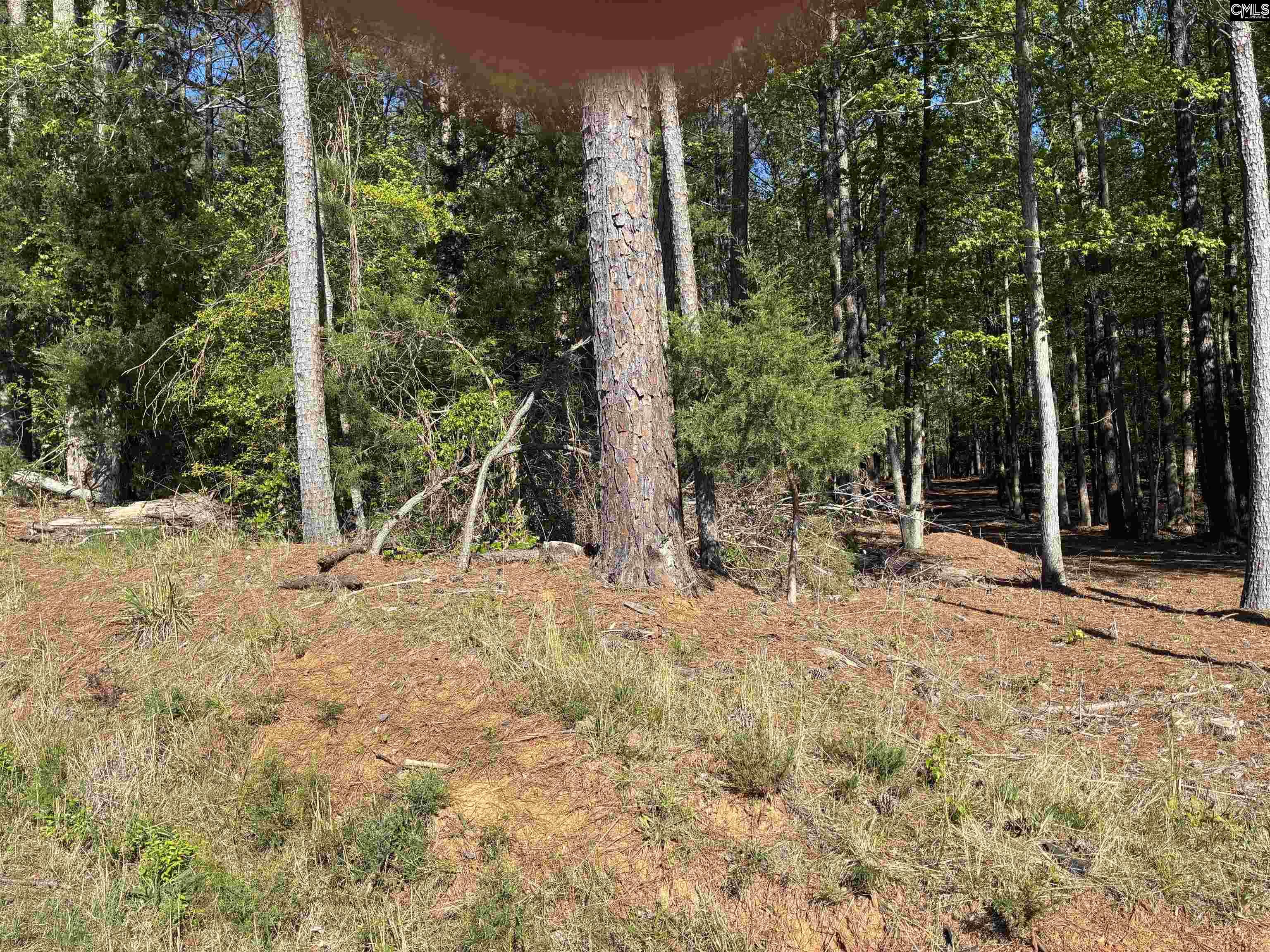 Mud Creek Road Newberry, SC 29108