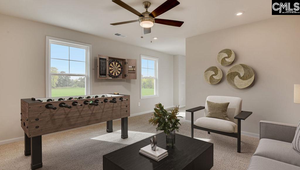 20 Spider Web Court Blythewood, SC 29016