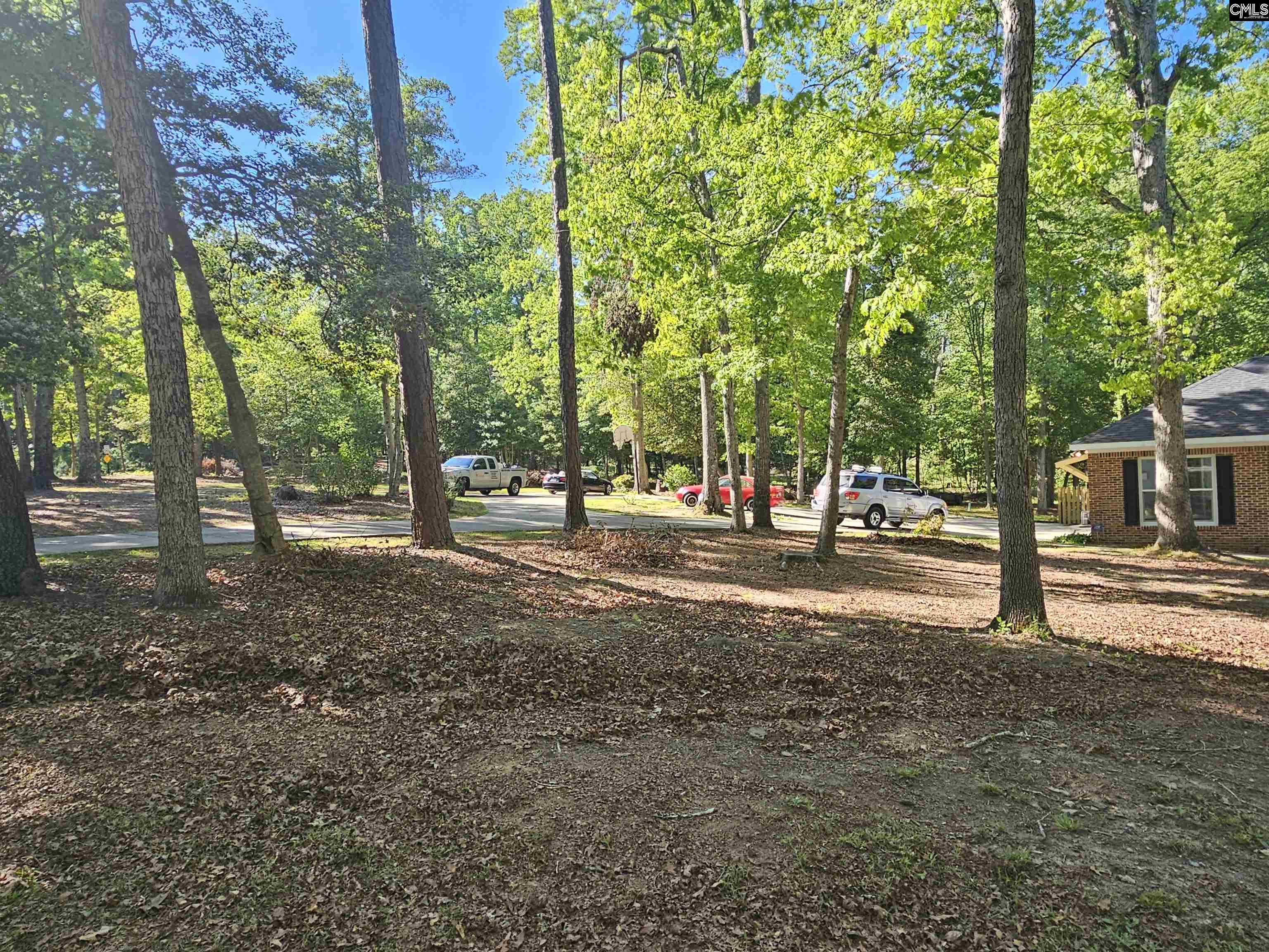 532 Rose Sharon Drive Lexington, SC 29072-7669