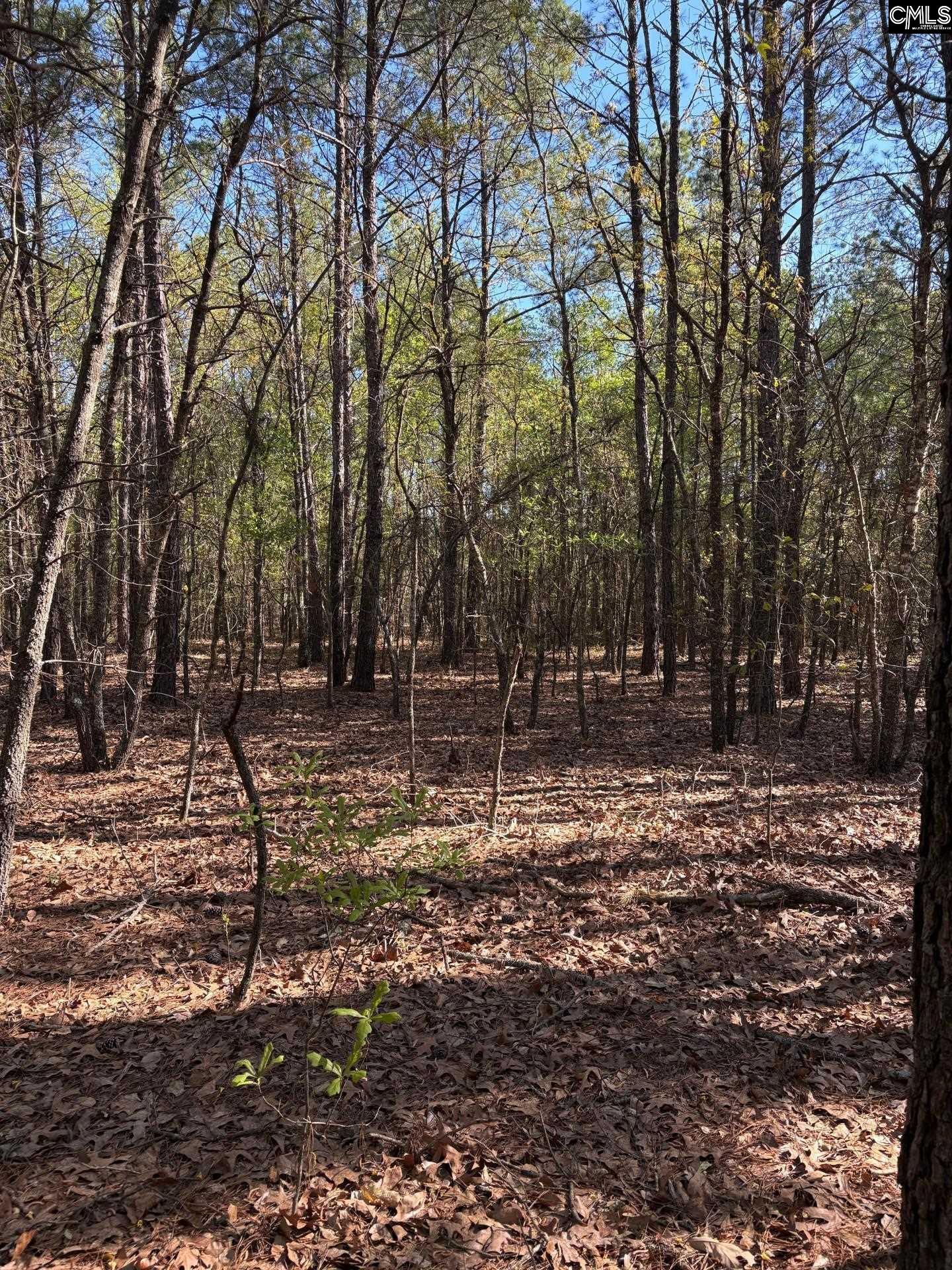 0 East Old Camden Hwy Darlington, SC 29550