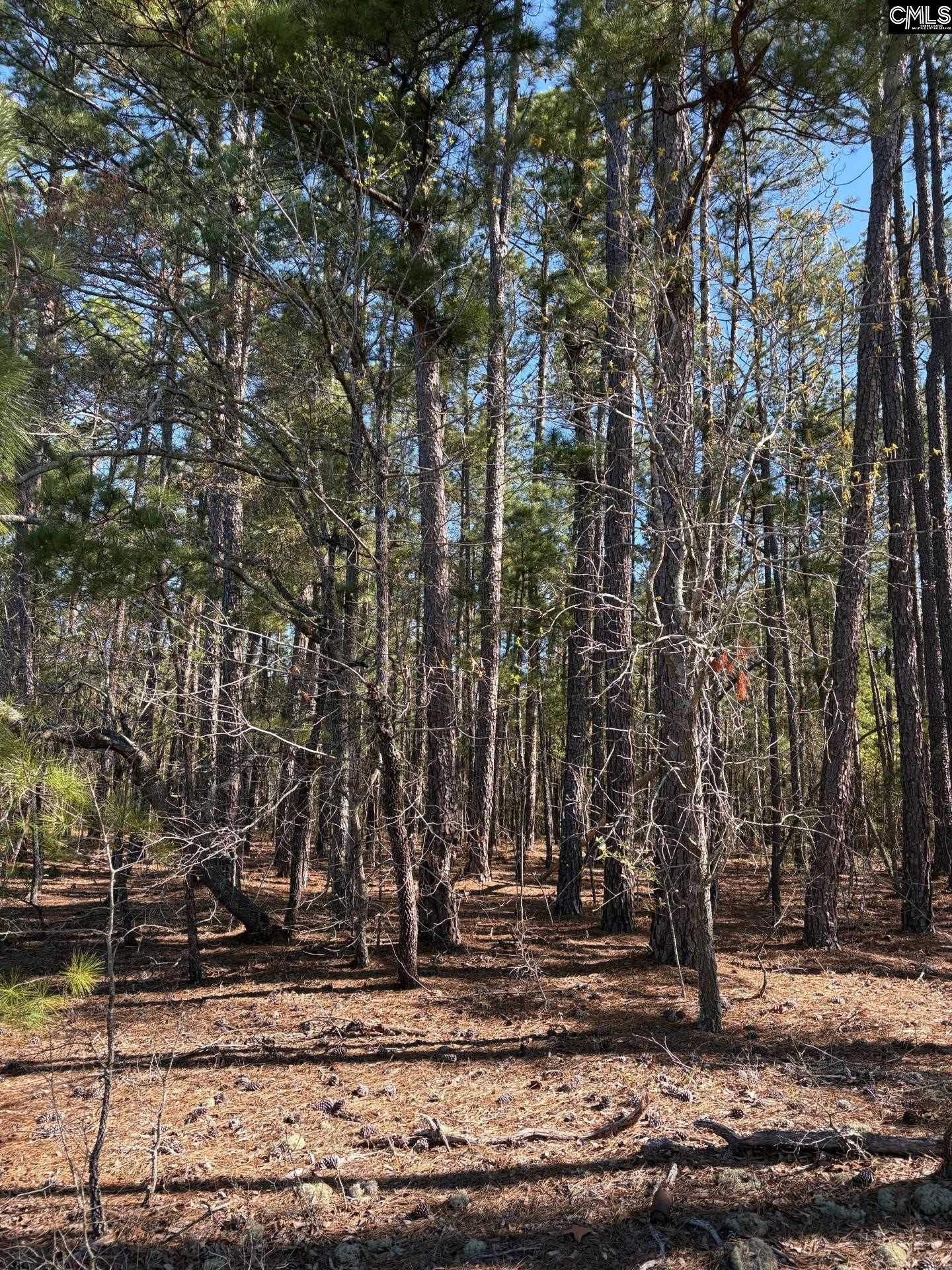 0 East Old Camden Hwy Darlington, SC 29550