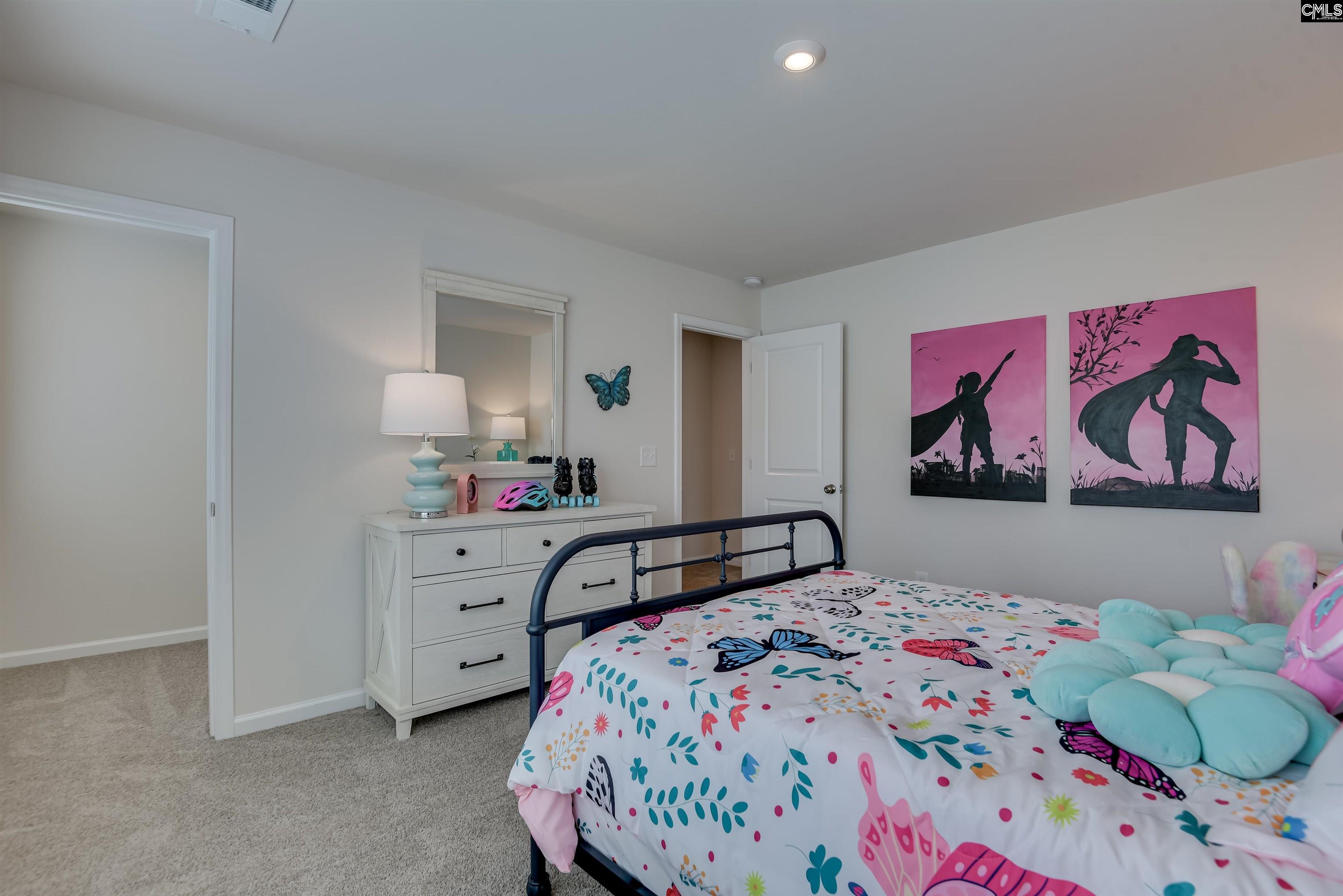 372 Chapin Place Way Chapin, SC 29036