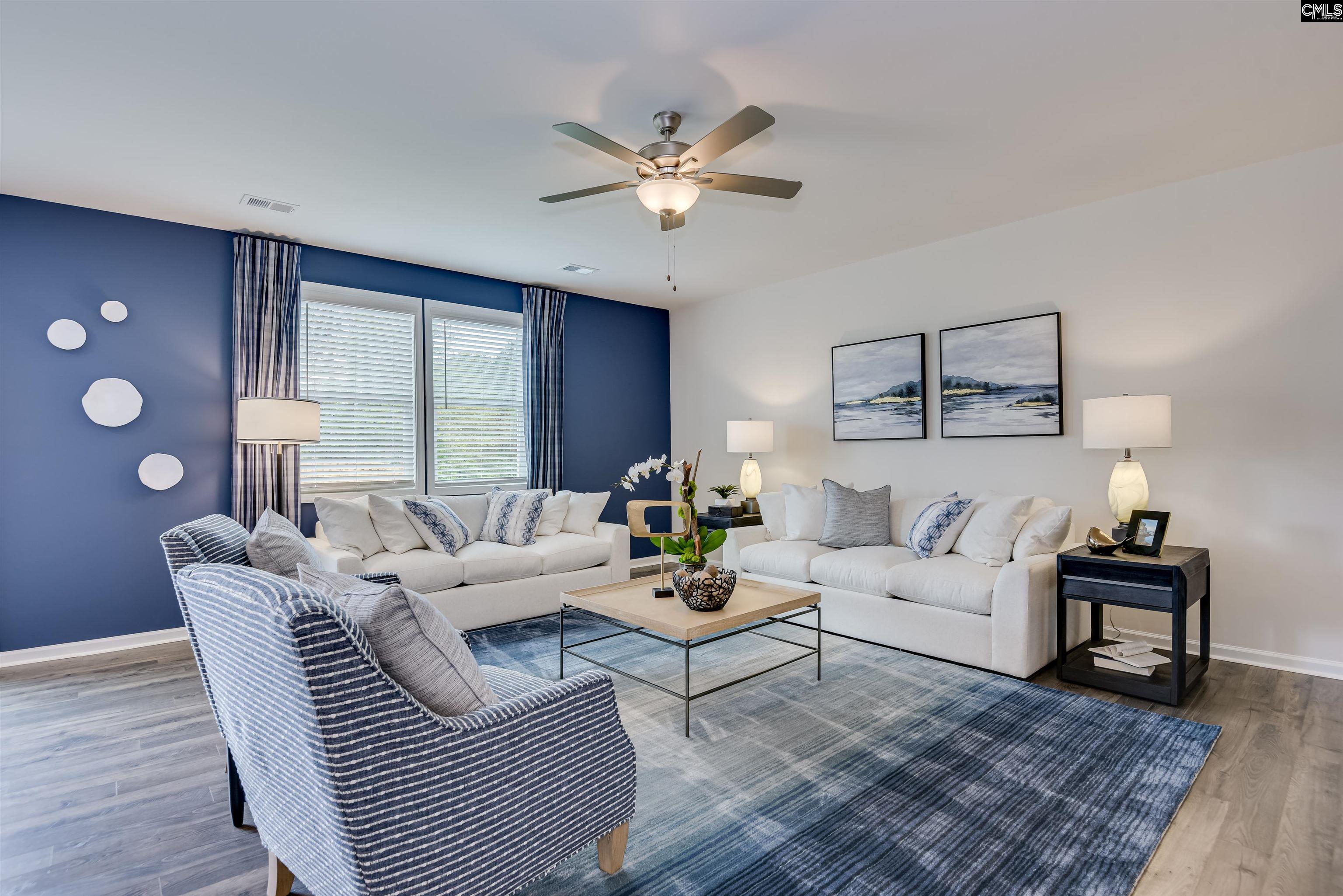 372 Chapin Place Way Chapin, SC 29036