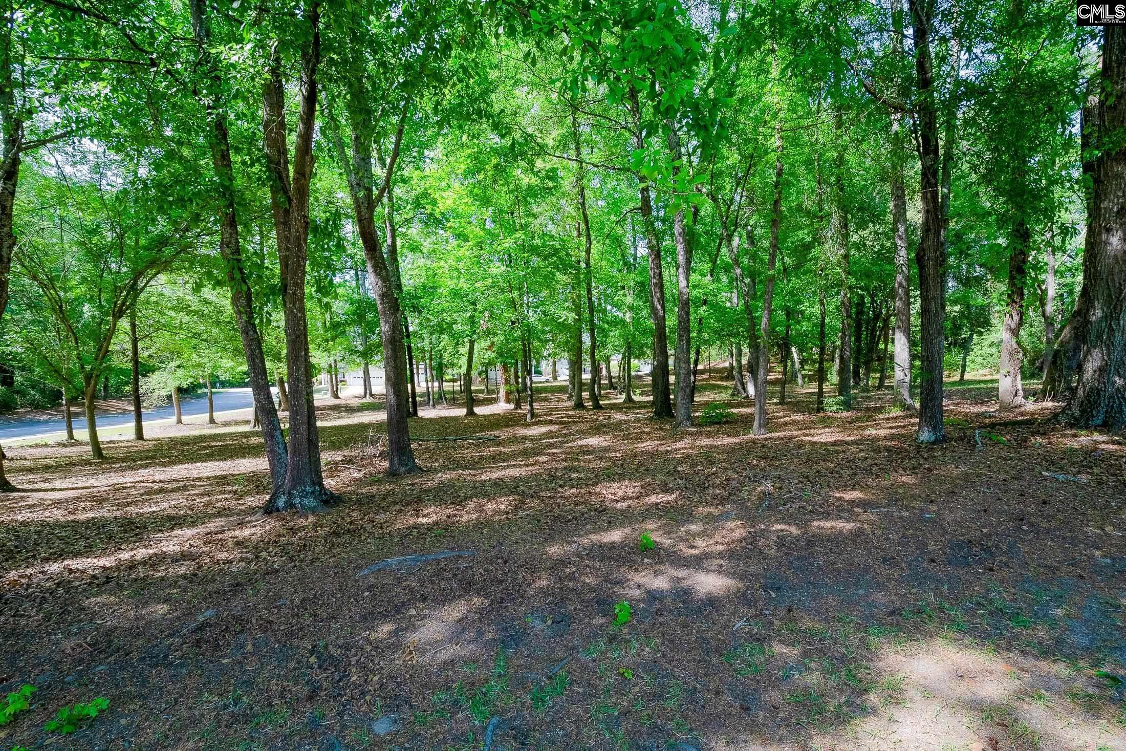 40 Brooksby Court Columbia, SC 29209-4622