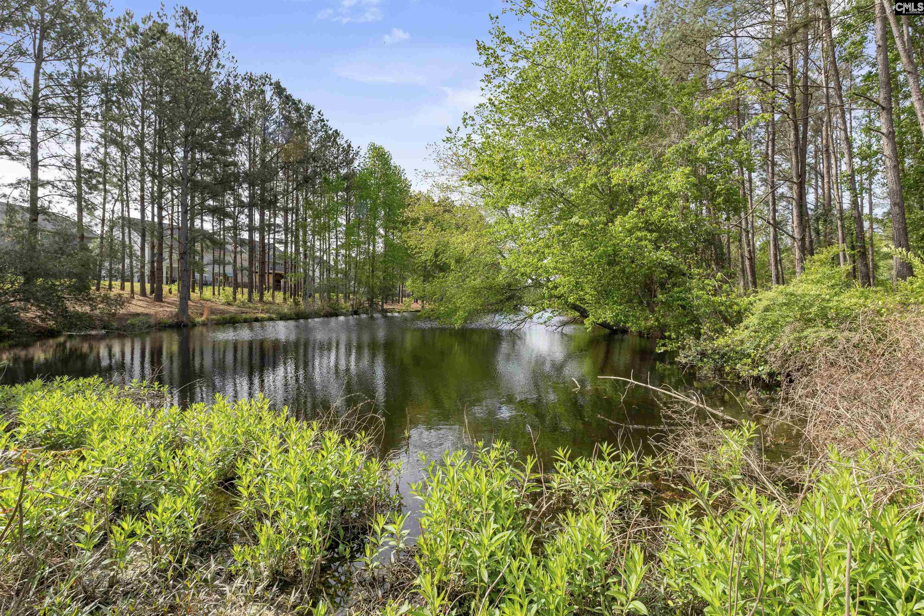 222 Falling Leaves Lane Blythewood, SC 29016