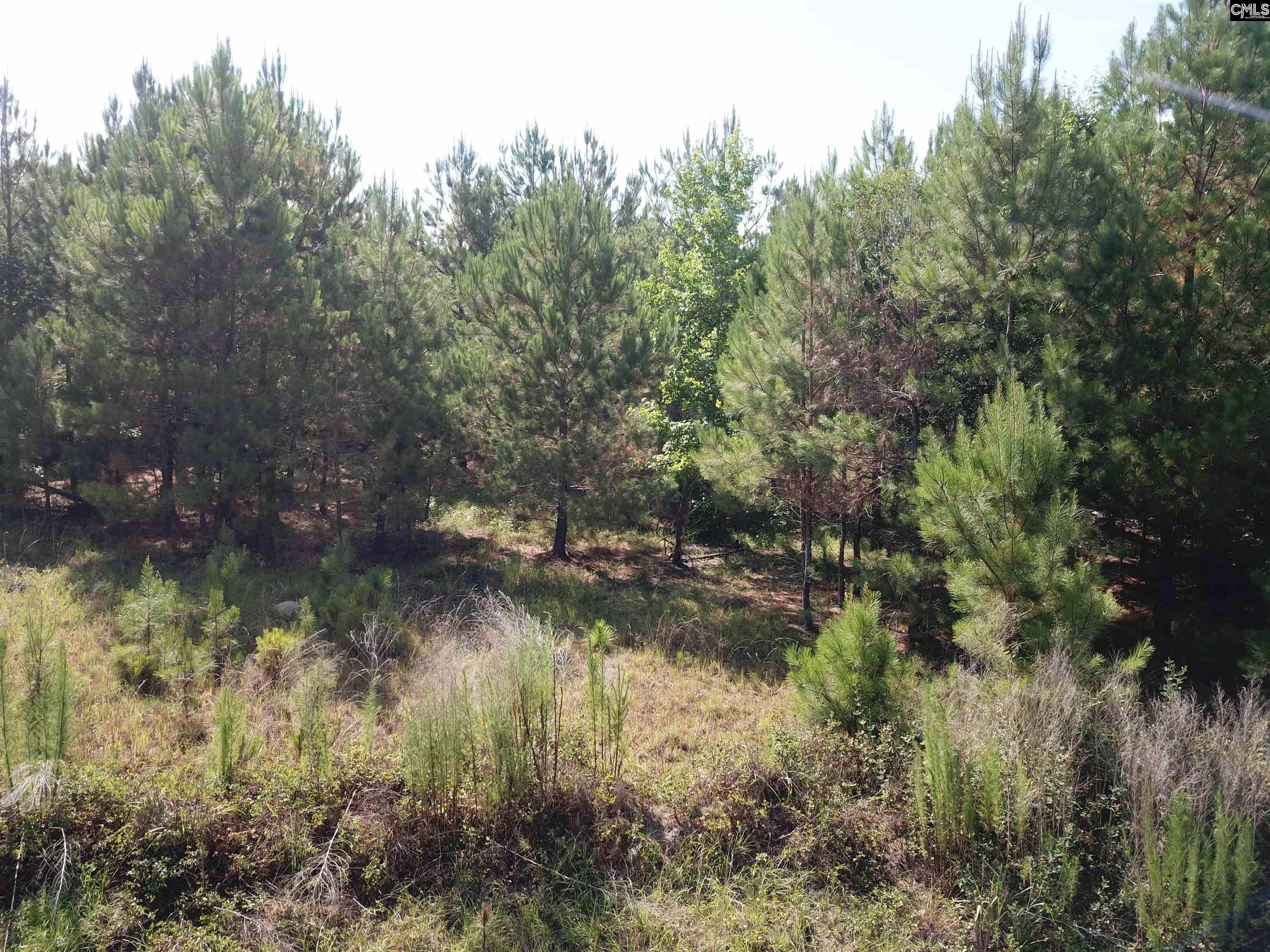 5051 Spring Hill Road Rembert, SC 29128-0000
