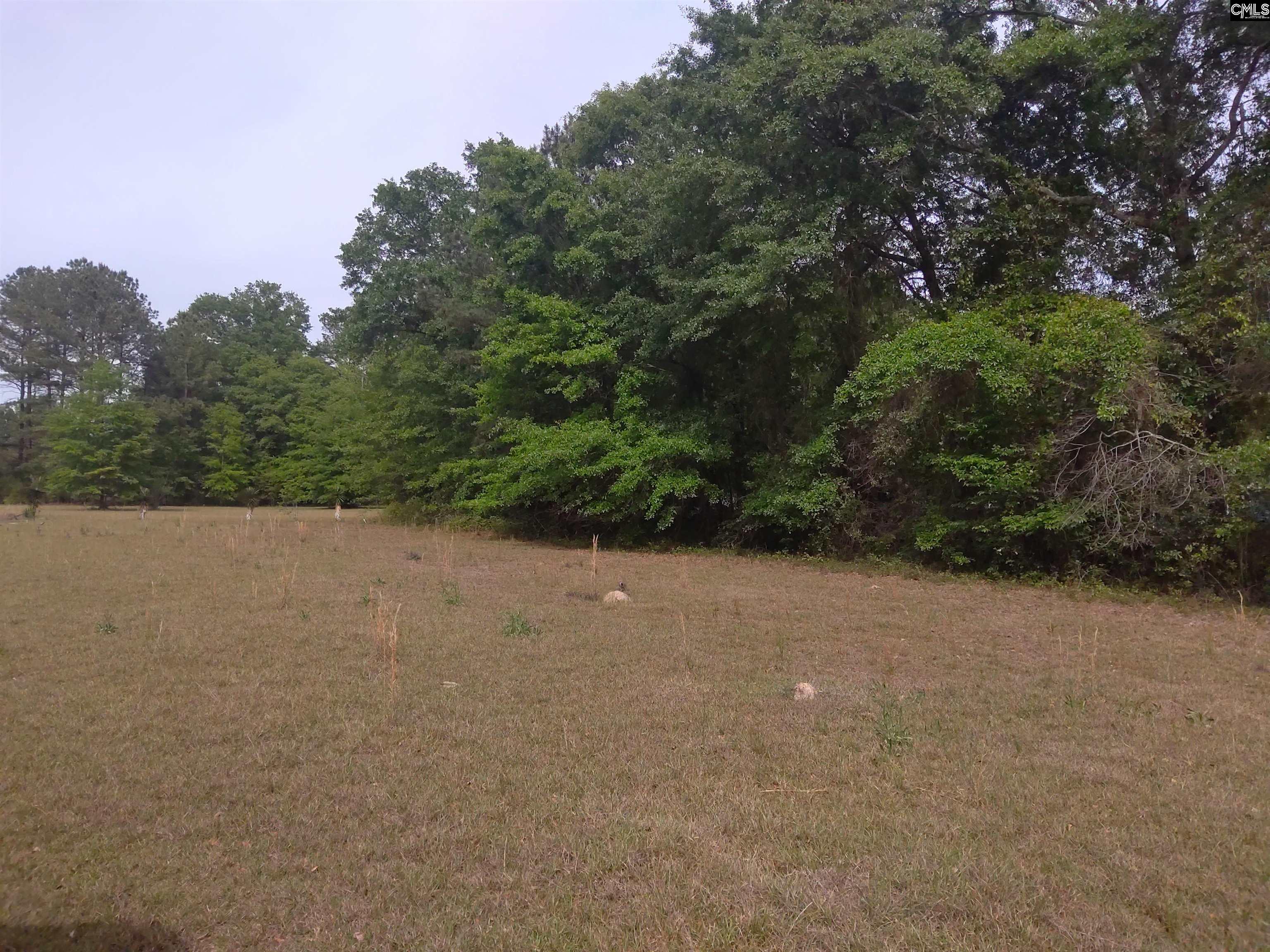 242 Ault Road Hopkins, SC 29061