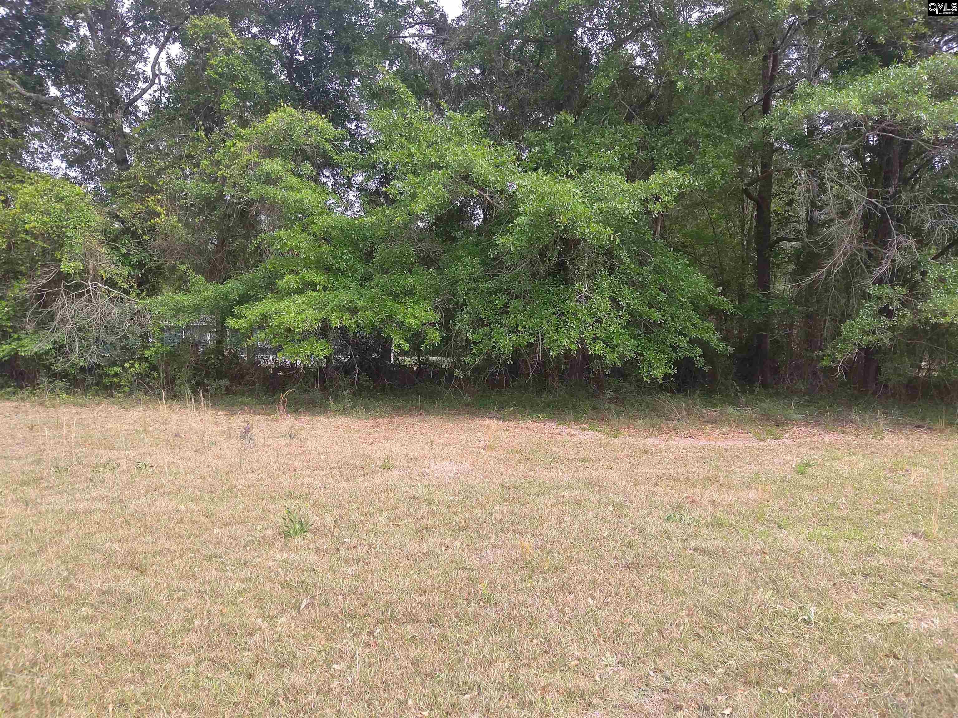 242 Ault Road Hopkins, SC 29061