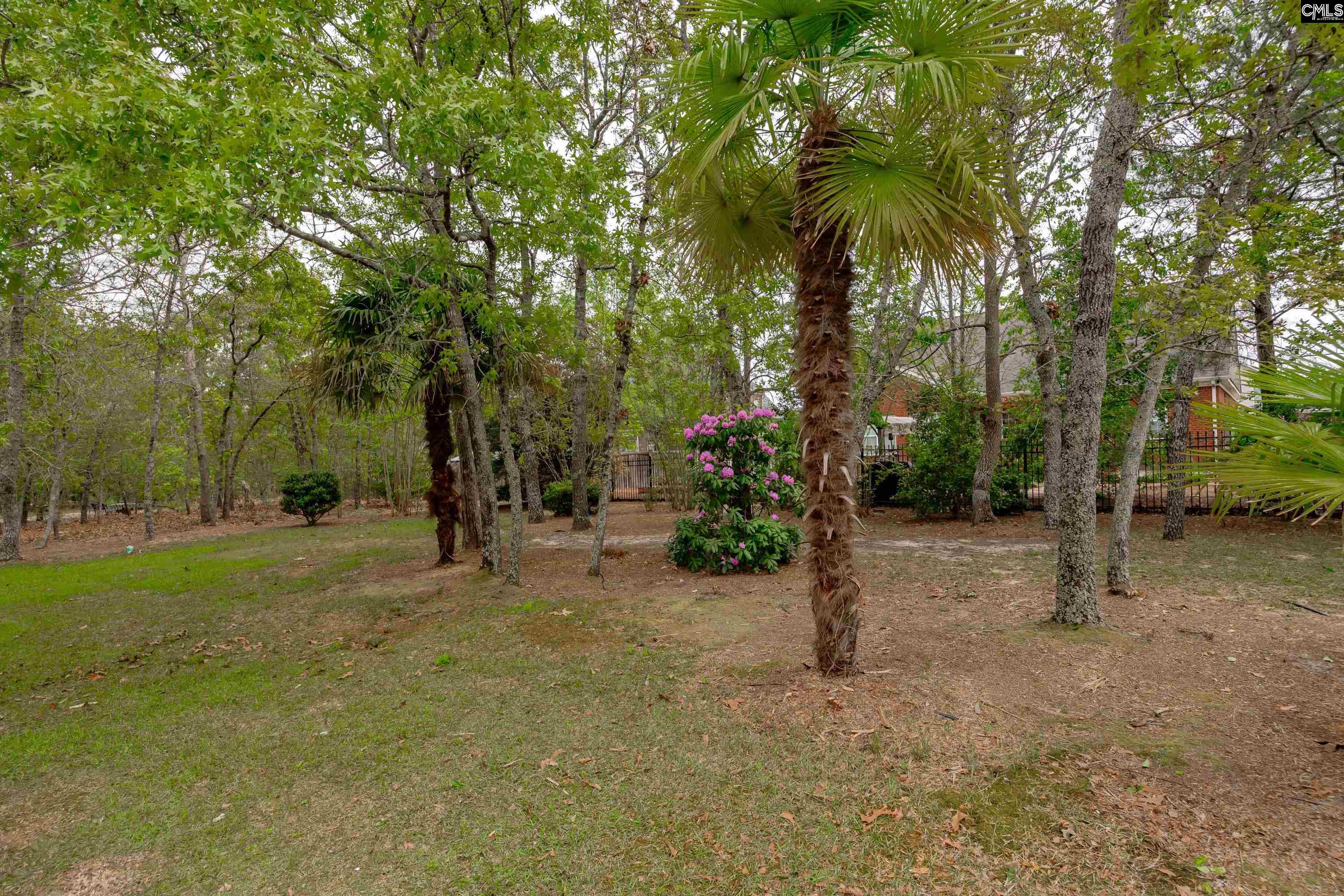 217 Longcreek Plantation Drive Blythewood, SC 29016