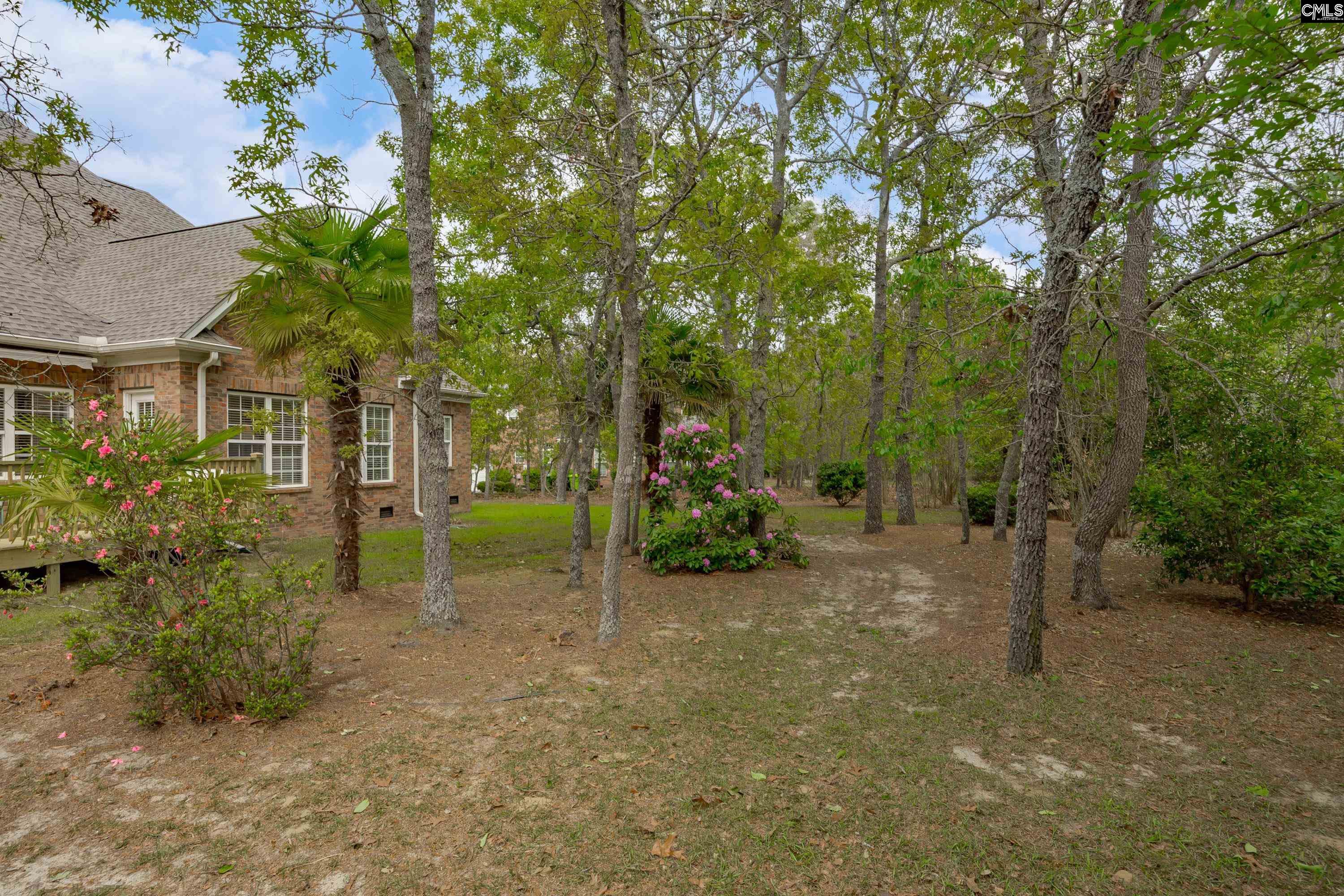 217 Longcreek Plantation Drive Blythewood, SC 29016
