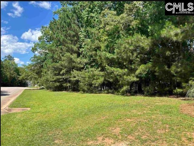 255 Lake Estates Drive Chapin, SC 29036