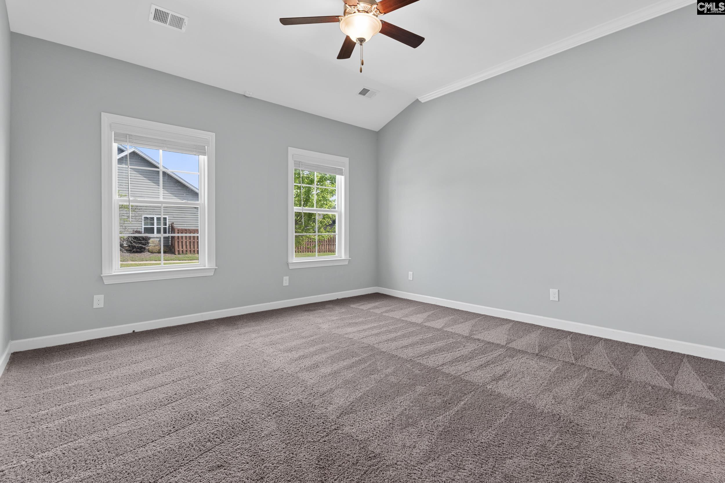 432 Sapphire Lane Chapin, SC 29036