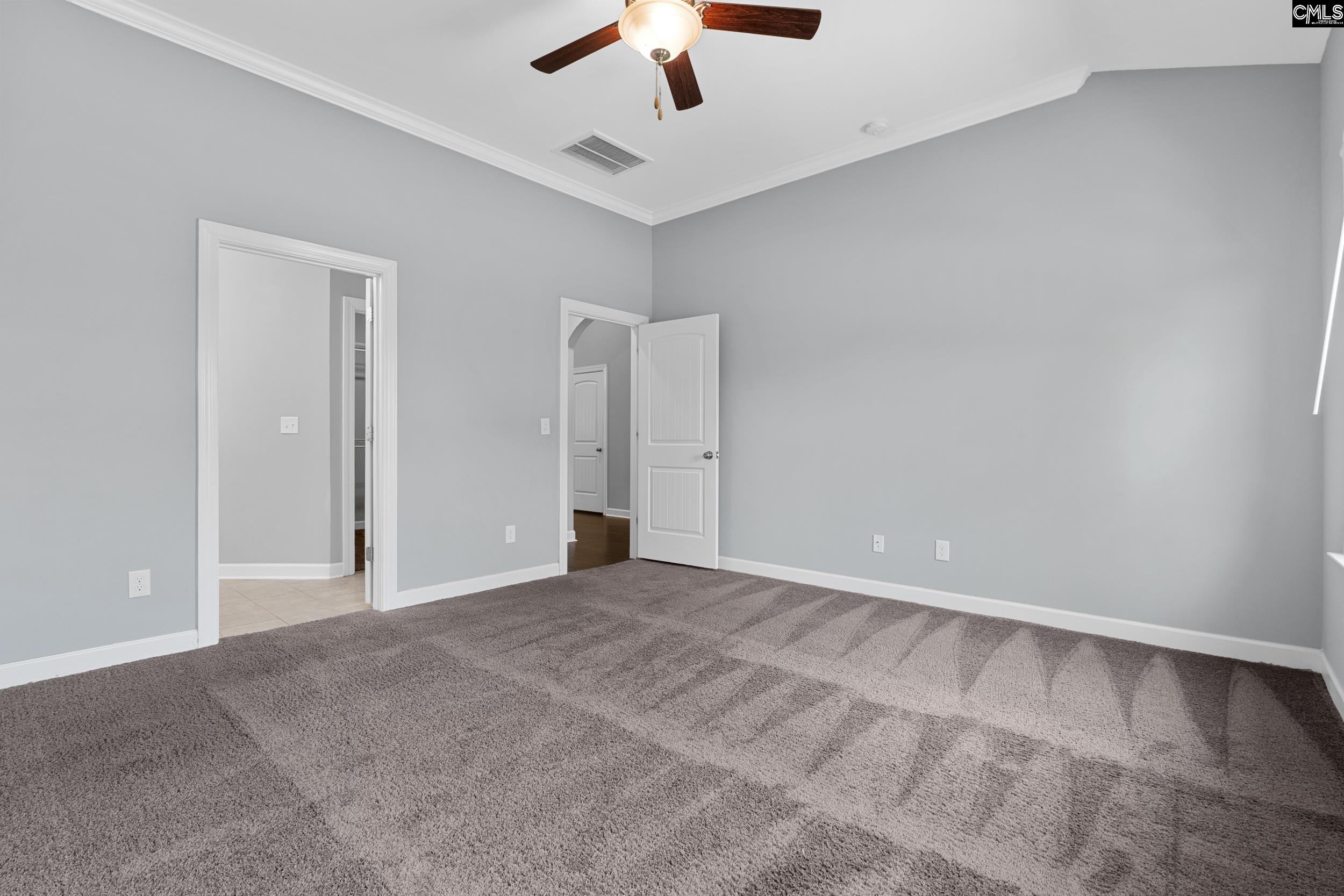 432 Sapphire Lane Chapin, SC 29036