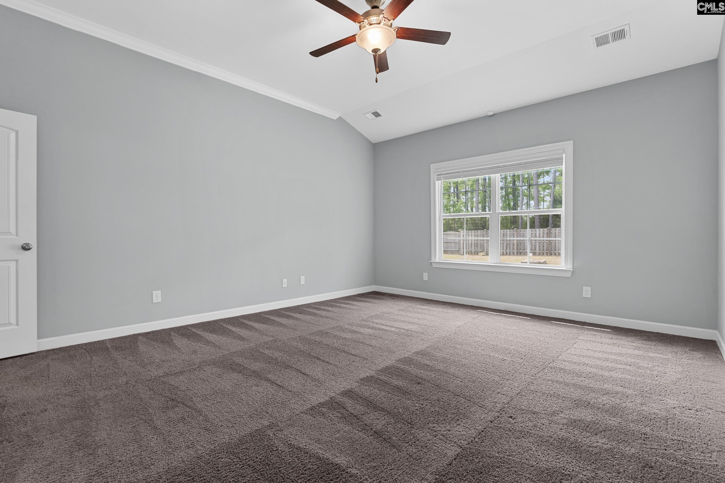 432 Sapphire Lane Chapin, SC 29036