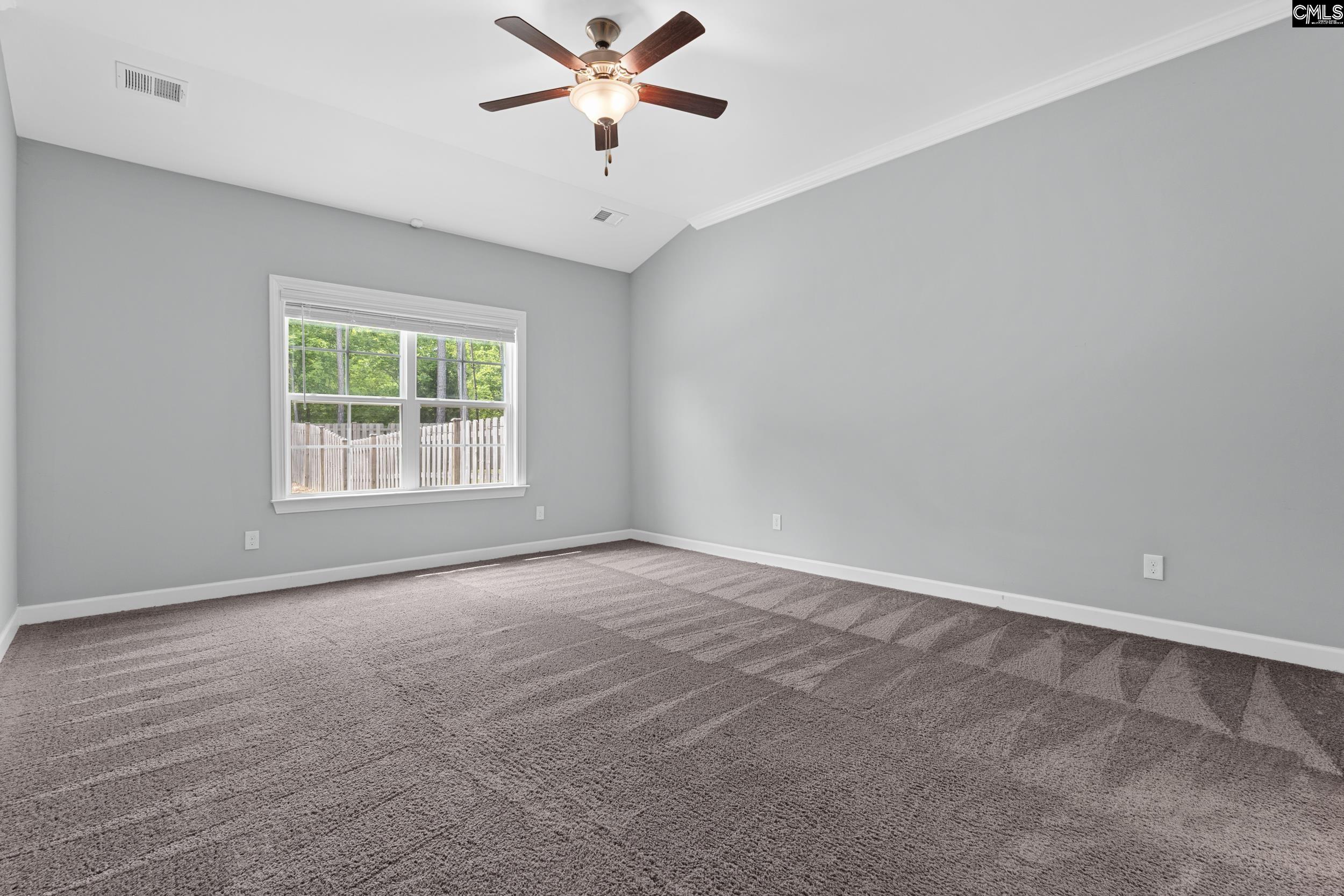 432 Sapphire Lane Chapin, SC 29036