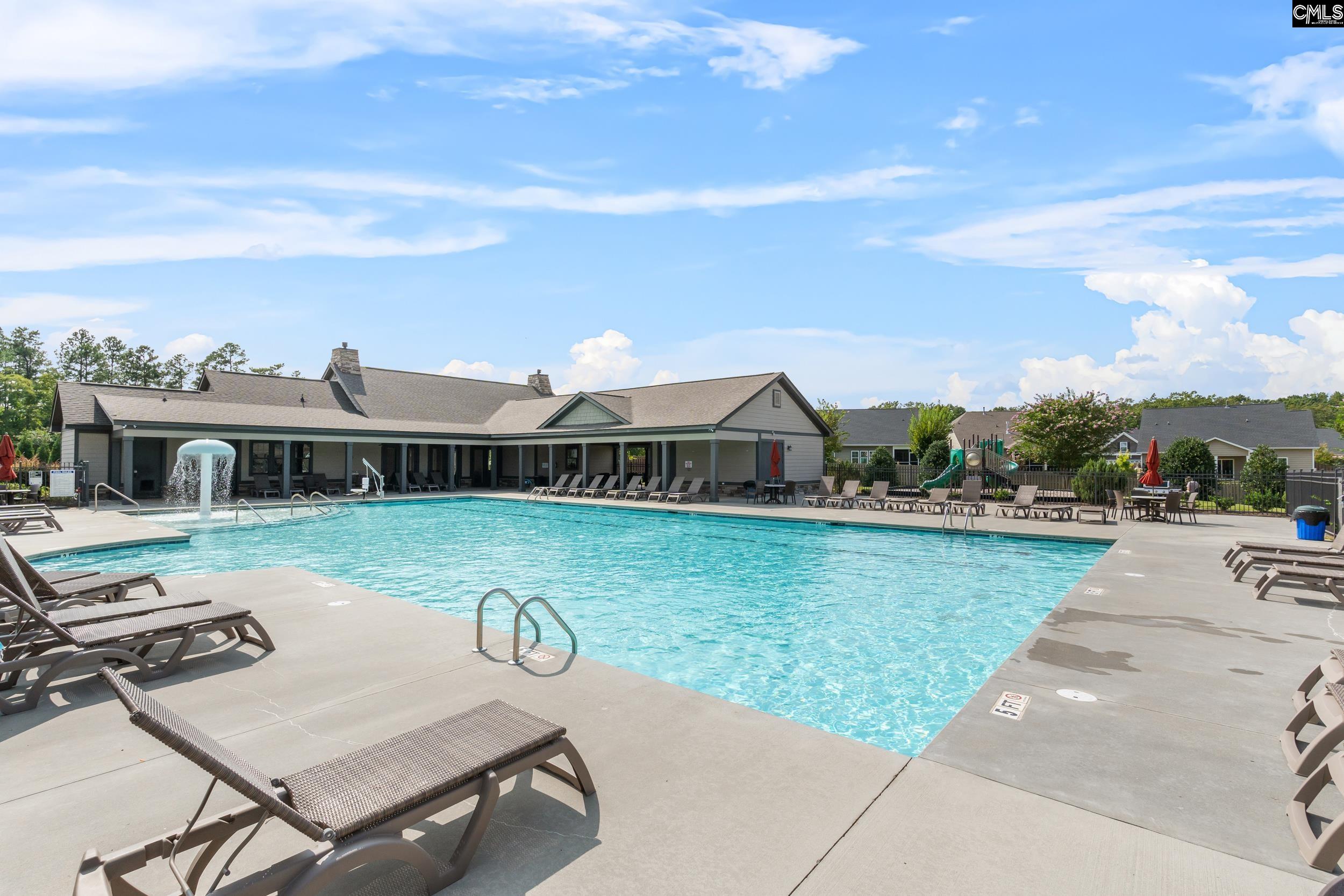 432 Sapphire Lane Chapin, SC 29036