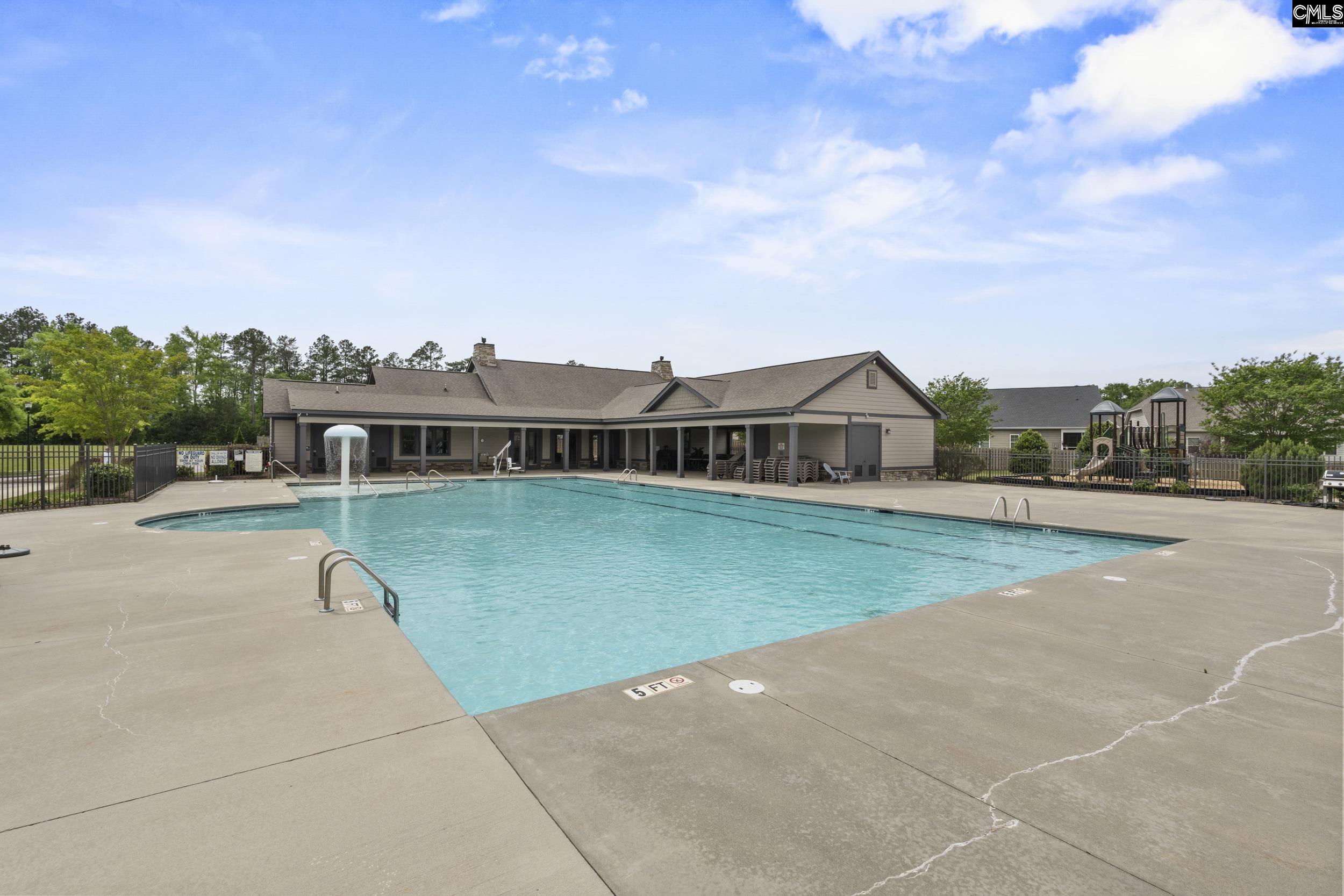 432 Sapphire Lane Chapin, SC 29036